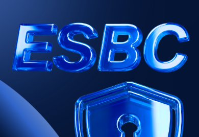 Eltex ESBC for telephony: secures, manages, connects