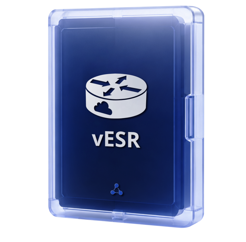 vESR virtual service routers