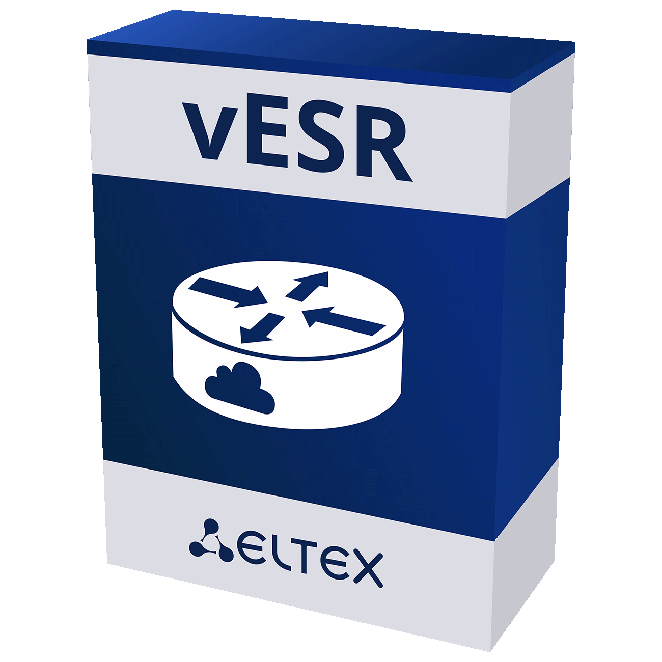 vESR virtual service routers