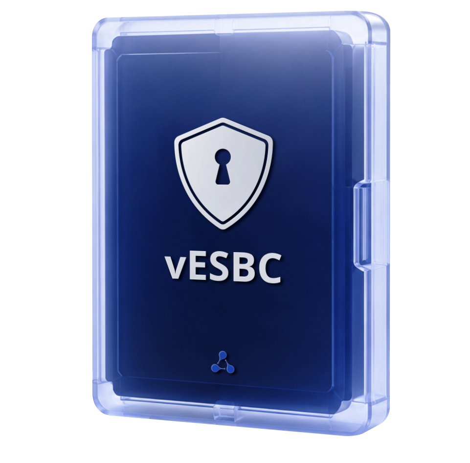 Software Session Border Controller vESBC